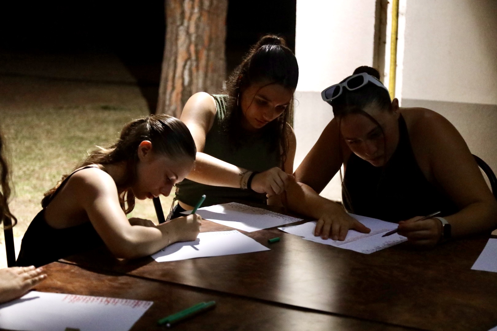 Studenti che studiano insieme
